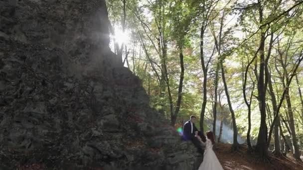 Brilho com noiva no parque florestal. Casamento. Família feliz — Vídeo de Stock
