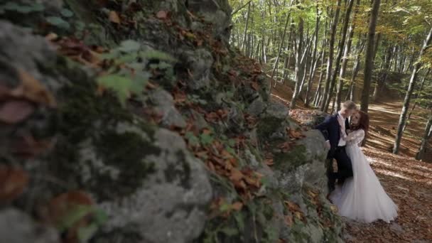 Orman parkında geliniyle damat. Düğün çifti. Mutlu aile — Stok video