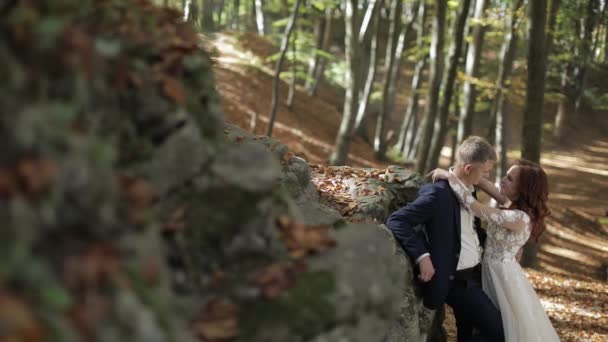 Bräutigam mit Braut im Waldpark. Hochzeitspaar. glückliche Familie — Stockvideo