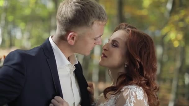 Orman parkında geliniyle damat. Düğün çifti. Bir öpücük yapmak — Stok video