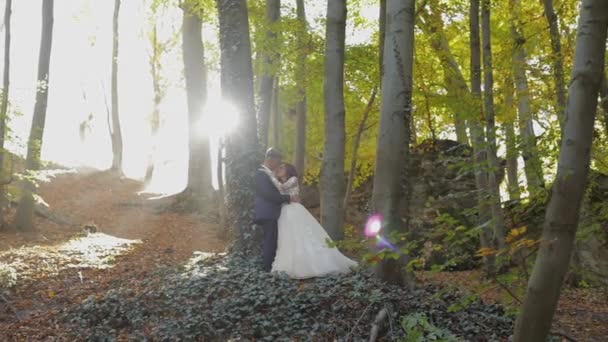 Novio con novia en el parque forestal. Pareja de bodas. Familia feliz — Vídeos de Stock