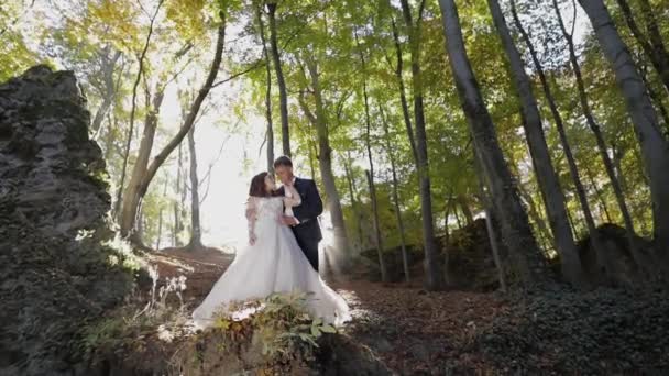 Novio con novia en el parque forestal. Pareja de bodas. Familia feliz — Vídeos de Stock