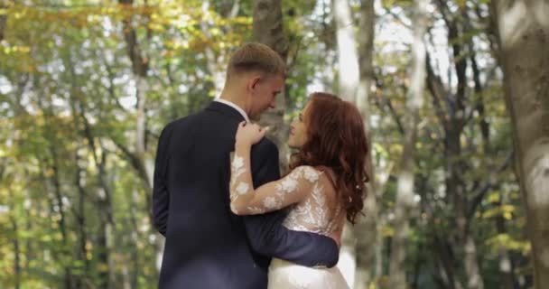 Groom with bride in the forest park. Wedding couple. Making a kiss — Stock Video