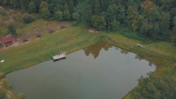 Жених с невестой возле озера в парке. Свадебная пара. Воздушный удар — стоковое видео