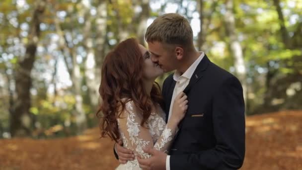 Novio con novia en el parque forestal. Pareja de bodas. Haciendo un beso — Vídeo de stock