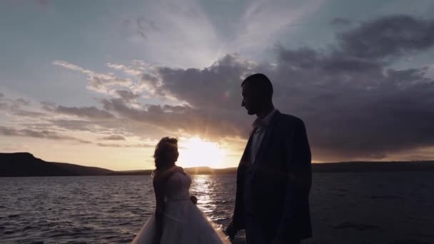 Casamento. Lindo noivo e noiva. Família feliz. Homem e mulher apaixonados — Vídeo de Stock