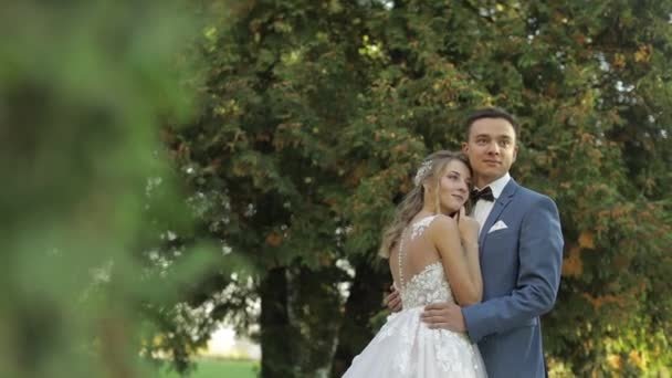 Pareja de bodas. Precioso novio y novia. Familia feliz. Hombre y mujer enamorados — Vídeos de Stock