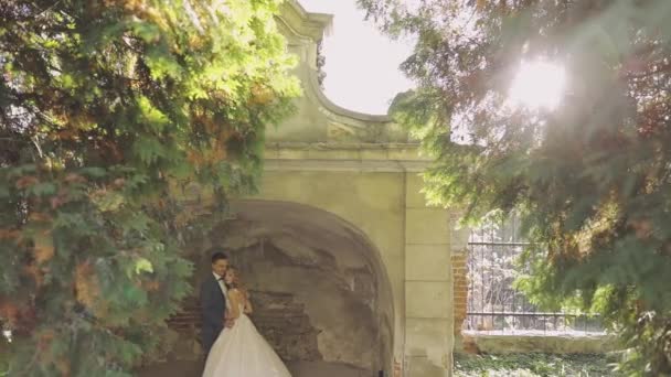 Matrimonio. Bello sposo e sposa. Una famiglia felice. Uomo e donna innamorati — Video Stock