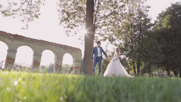 Matrimonio. Bello sposo e sposa. Una famiglia felice. Uomo e donna innamorati — Video Stock