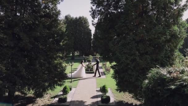 Bruidspaar. Mooie bruidegom en bruid. Gelukkige familie. Man en vrouw in de liefde — Stockvideo