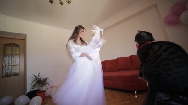 Bella e bella sposa in abito da notte tiene appendiabiti con un abito da sposa — Video Stock