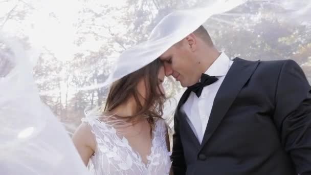 Matrimonio. Bello sposo e sposa. Una famiglia felice. Uomo e donna innamorati — Video Stock