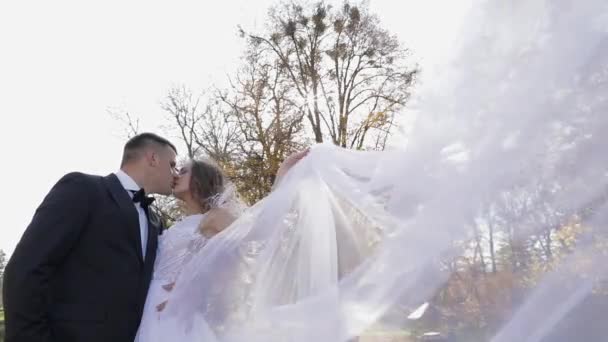 Casamento. Lindo noivo e noiva. Família feliz. Homem e mulher apaixonados — Vídeo de Stock
