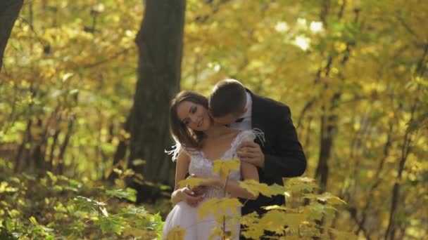 Pareja de bodas. Precioso novio y novia. Familia feliz. Hombre y mujer enamorados — Vídeo de stock