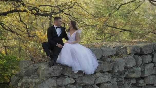 Hochzeitspaar. schöne Bräutigam und Braut. glückliche Familie. Mann und Frau verliebt — Stockvideo