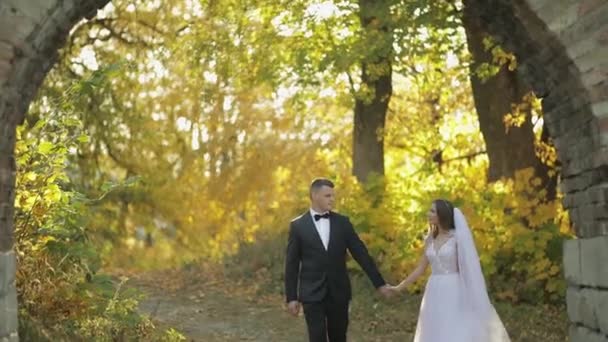 Matrimonio. Bello sposo e sposa. Una famiglia felice. Uomo e donna innamorati — Video Stock