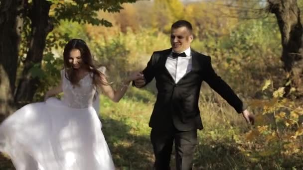 Pareja de bodas. Precioso novio y novia. Familia feliz. Hombre y mujer enamorados — Vídeos de Stock