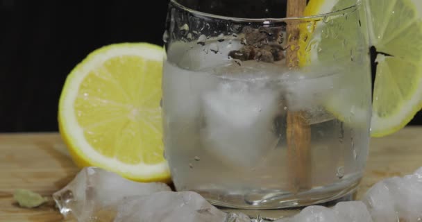 Voeg specerijen toe aan de Lemon cocktail en hak met een lepel — Stockvideo