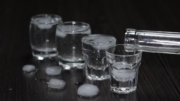 Pour vodka from a bottle into shot glasses with ice cubes — Stock Video