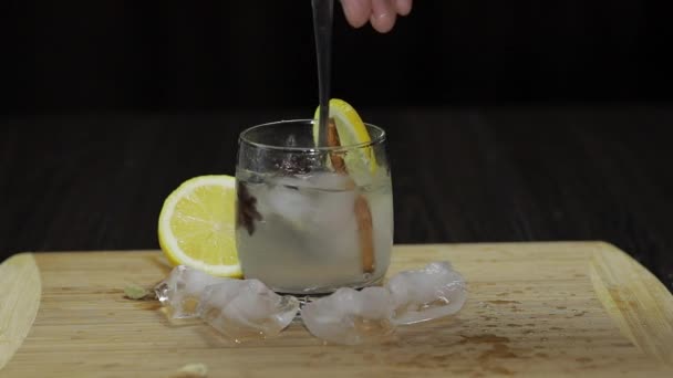 Campur dengan sendok lemon cocktail. Menyegarkan minuman koktail beralkohol — Stok Video