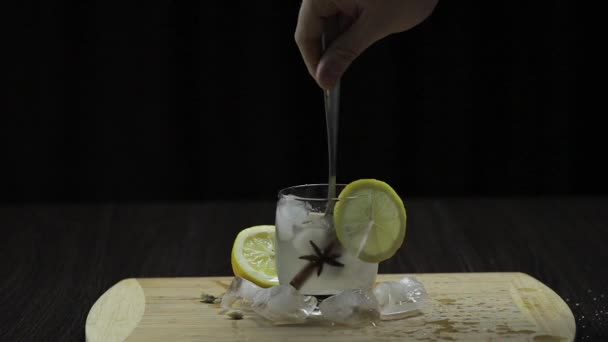 Mezclar con una cuchara de cóctel de limón. Refrescante bebida de cóctel alcohólico — Vídeos de Stock