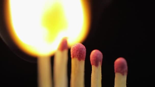 Matches light up one by another in series on black background — Stock Video