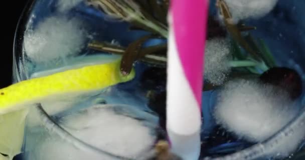 Kaltgetränk mit Zitrone, Rosmarin, Eiswürfeln und schwarzer Johannisbeere in einem Glas verrühren — Stockvideo