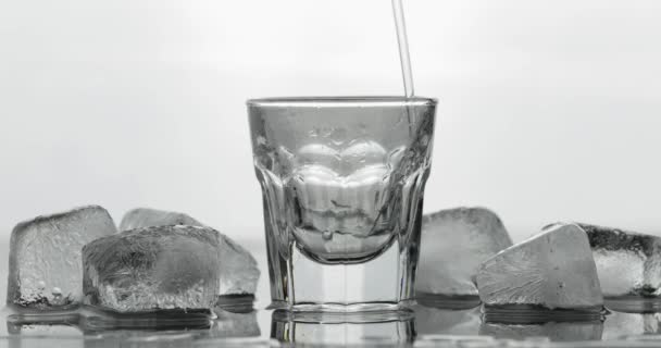 Derramar o tiro de vodka de uma garrafa no copo. Fundo branco — Vídeo de Stock