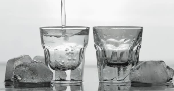 Zwei Schuss Wodka aus einer Flasche in Glas gießen. weißer Hintergrund — Stockvideo