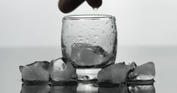 Verter un trago de vodka de una botella en un vaso. Fondo blanco — Vídeo de stock