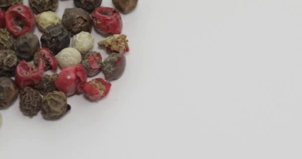 Mezcla de rotación de pimienta multicolor. Guisantes con especias. Macro sobre fondo blanco — Vídeo de stock