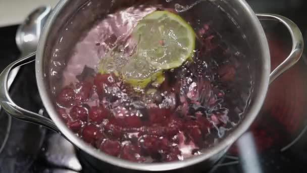 Añadir rebanada de limón en la sartén con agua y bayas. Rojo, grosella negra, frambuesa — Vídeos de Stock