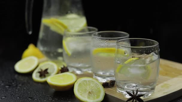 Add ice cubes to lemon juice in glass with lemon slices. Alcoholic cocktail — Stock Video