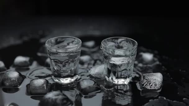 Acrescente cubos de gelo ao tiro de vodka no vidro contra o fundo preto. Bebida alcoólica — Vídeo de Stock
