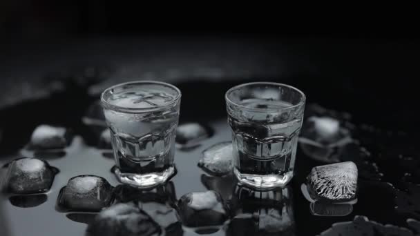 Acrescente cubos de gelo a tiros de vodka no vidro contra o fundo preto. Bebida alcoólica — Vídeo de Stock