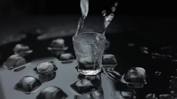 Ik giet wodka in glas. Zwarte achtergrond. Schenk alcohol in. — Stockvideo