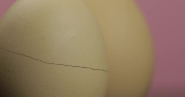 Kläckningsägg. Eggshell uppdelning på rosa bakgrund. Hoppas kommer ut Concept — Stockvideo