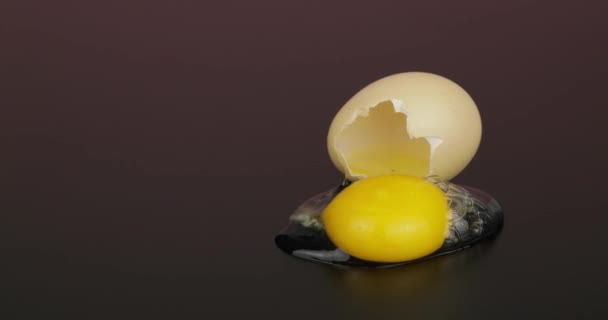 Egg yolk poured out from broken eggshell on black surface — Stock Video