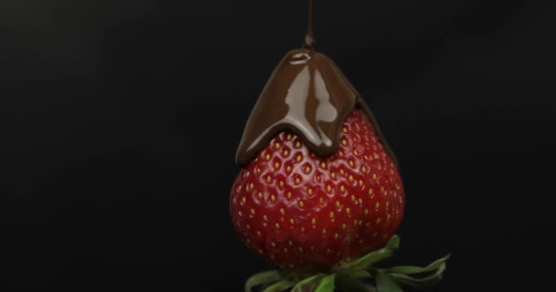 Ripe juicy strawberry are poured over chocolate on a black background. Close up — Stock Video