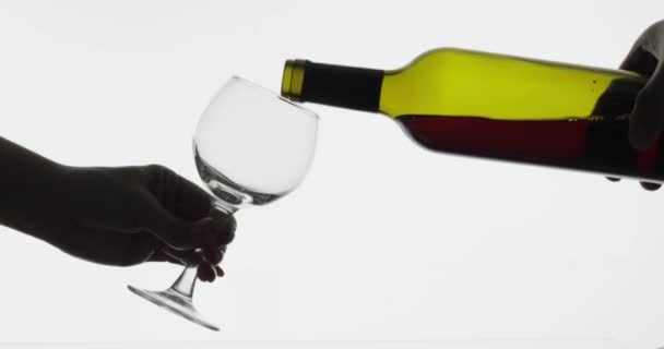 로즈 와인. 레드 와인 흰색 배경 위에 와인 유리에 붓는 — 비디오
