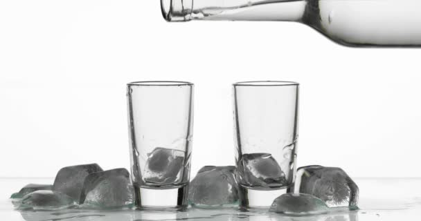 Derramar dois shots de vodka de uma garrafa em vidro. Fundo branco — Vídeo de Stock