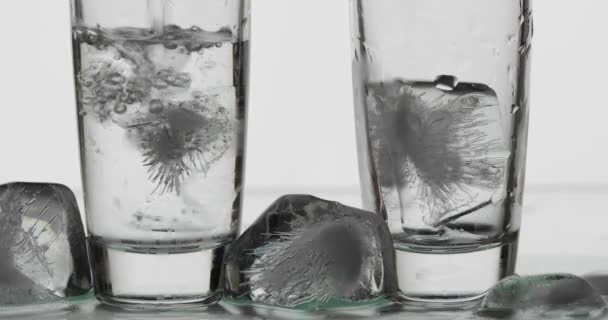 Hälla upp två skott av vodka från en flaska till glas. Vit bakgrund — Stockvideo