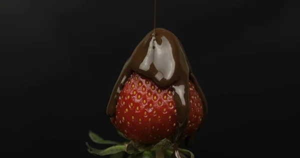 La fresa madura jugosa se vierte sobre el chocolate sobre un fondo oscuro. De cerca. — Foto de Stock