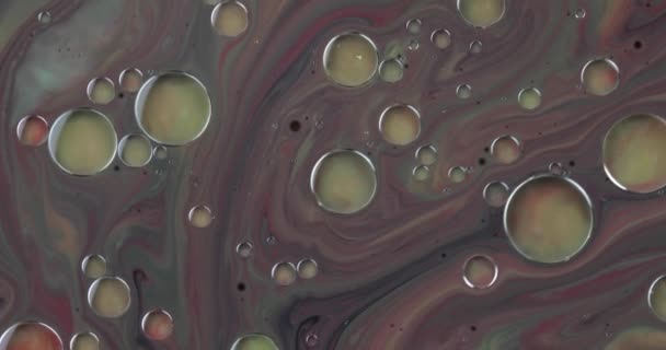 Fantastic structure of colorful bubbles. Chaotic motion. Abstract background — Stock Video