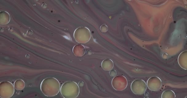 Fantástica estrutura de bolhas coloridas. Movimento caótico. Contexto abstrato — Vídeo de Stock