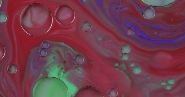 Fantastic structure of colorful bubbles. Chaotic motion. Abstract background — Stock Video