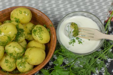 Taze dereotu ile tabakta haşlanmış yeni lezzetli patates yemeye hazır