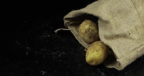 Kartoffeln fallen auf schwarzen Surfase aus Leinwand Tasche. frische rohe Kartoffeln in einem Haufen — Stockvideo