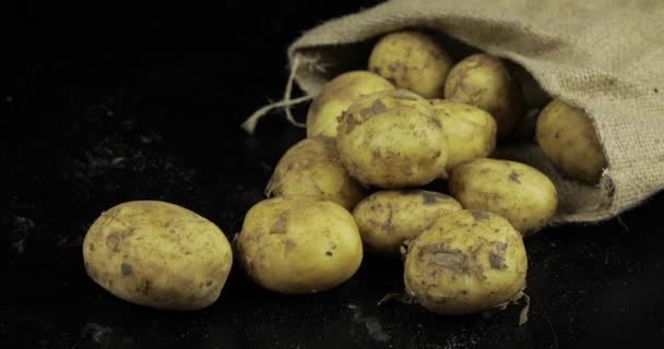 Patatas sobre surfase negro en una bolsa de lona. Patata cruda sucia fresca en una pila — Vídeos de Stock