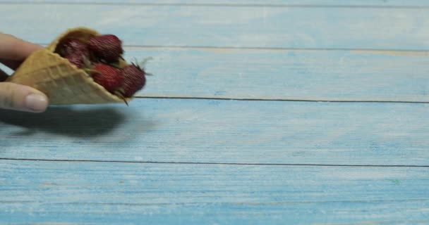 Gelato alle bacche. Bacche di fragola in una cialda su uno sfondo di legno blu — Video Stock